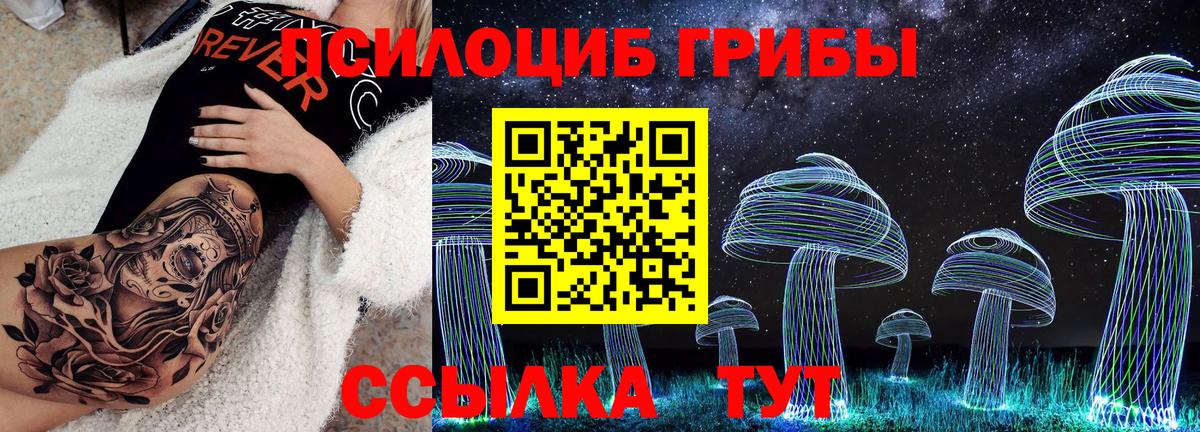 Псилоцибиновые грибы Magic Shrooms  Вход с VPN  наркошоп  Мурино 